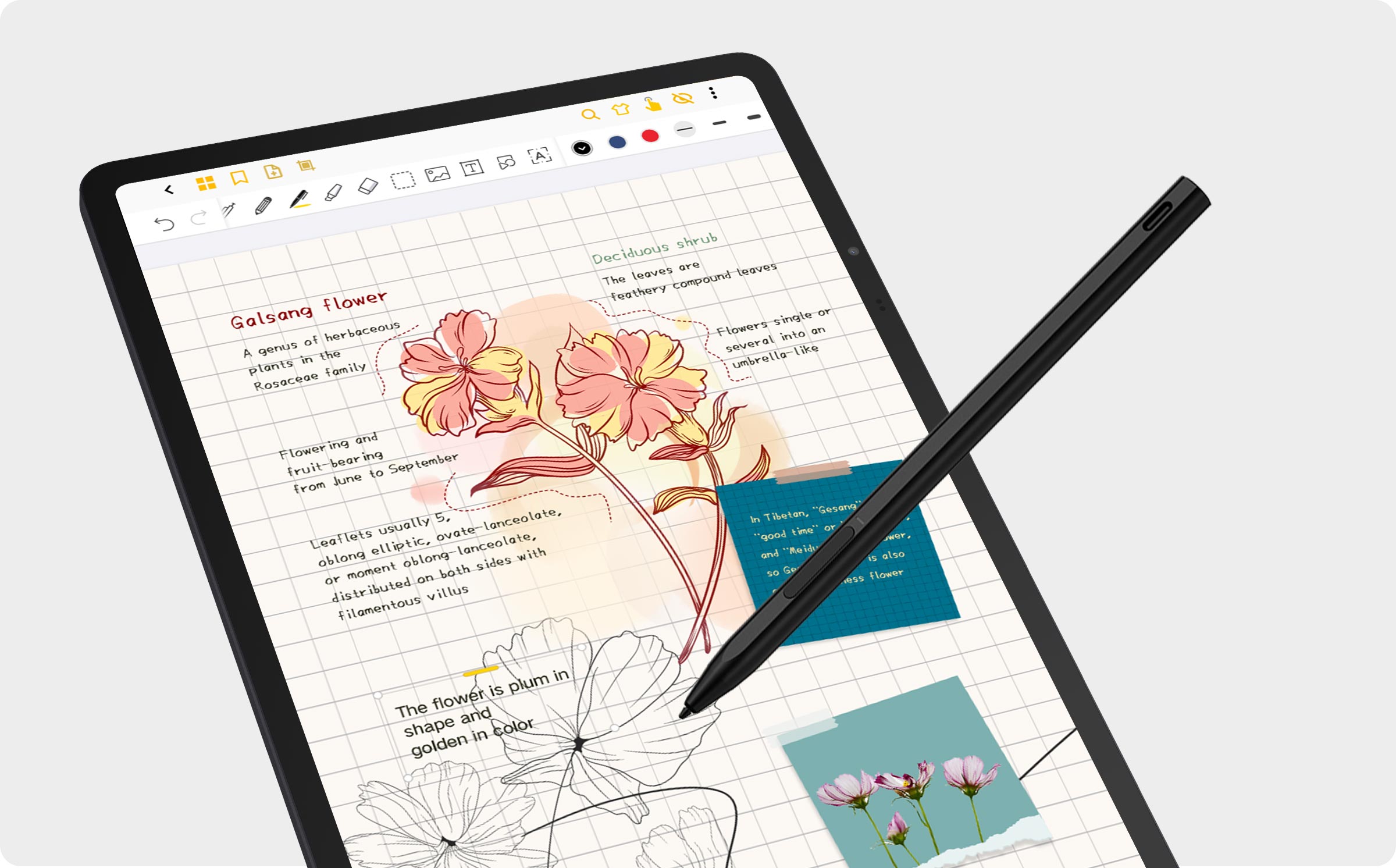 TCL NXTPAPER 14 | Full-color Electronic Paper Display Tablet | TCL