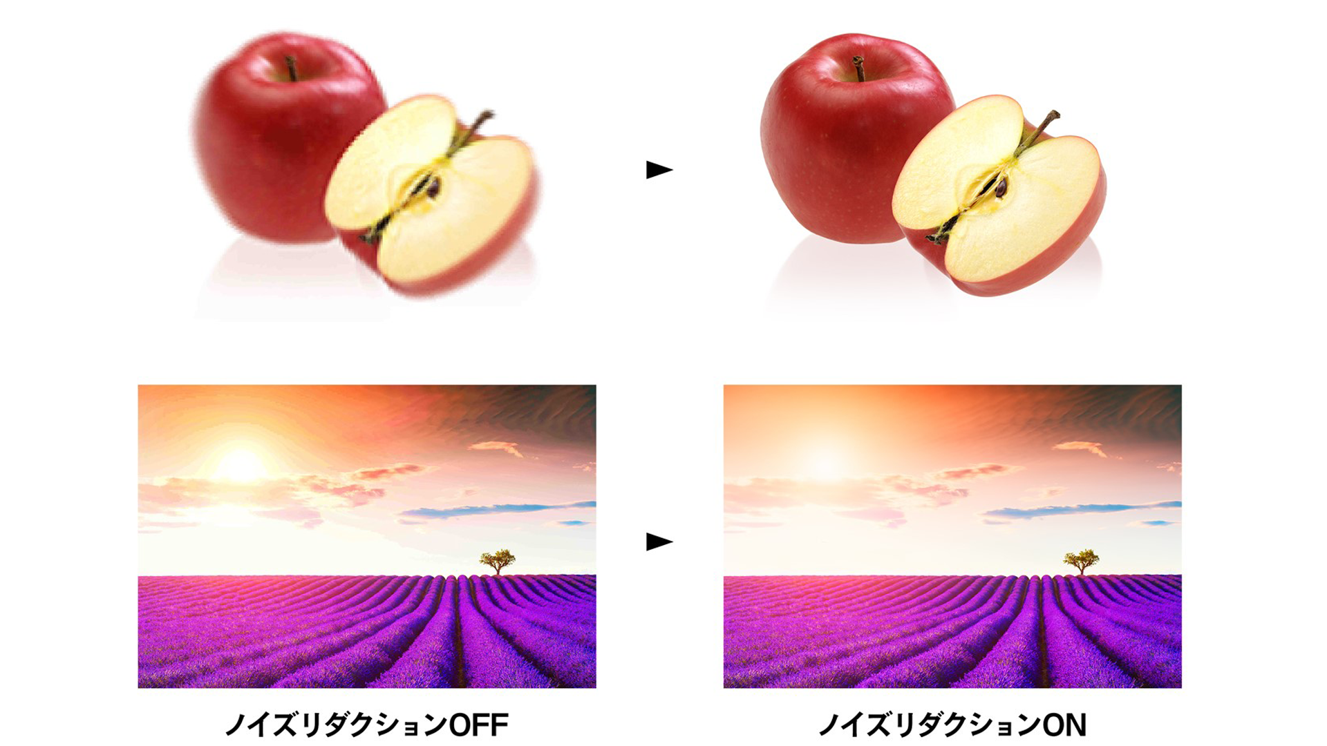 TCL p615 ノイズ低減機能を採用