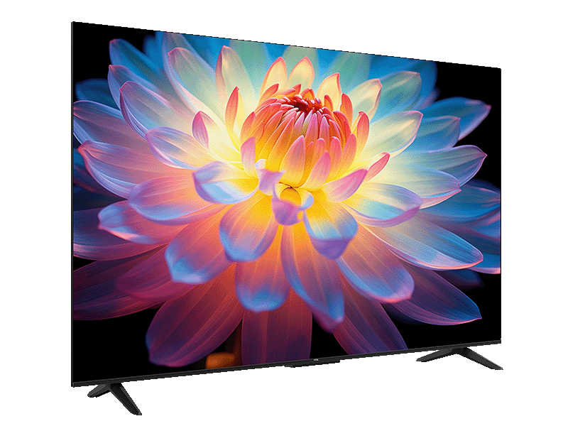 TCL P61K 4K液晶テレビ