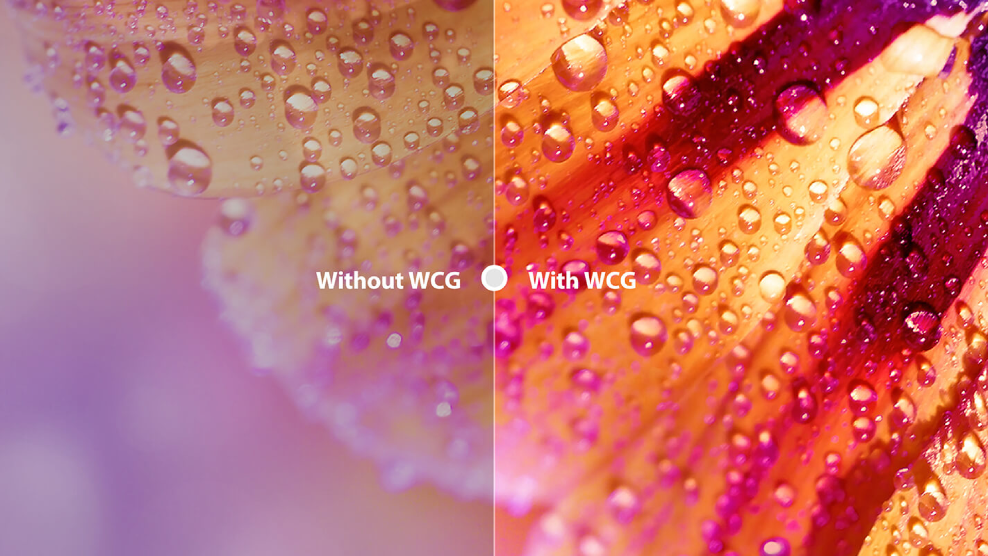 TCL P725 WCG Function