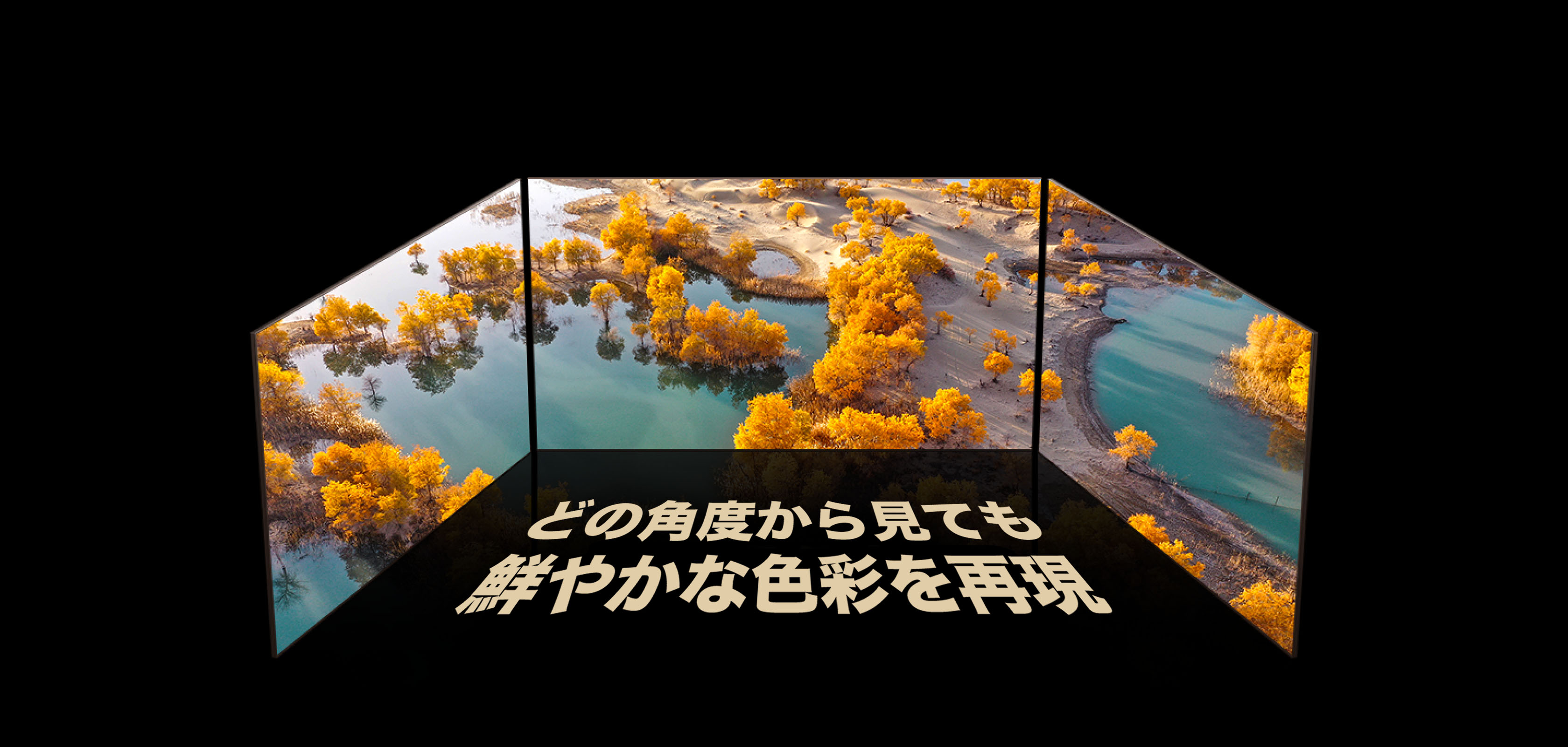 超広色視野角