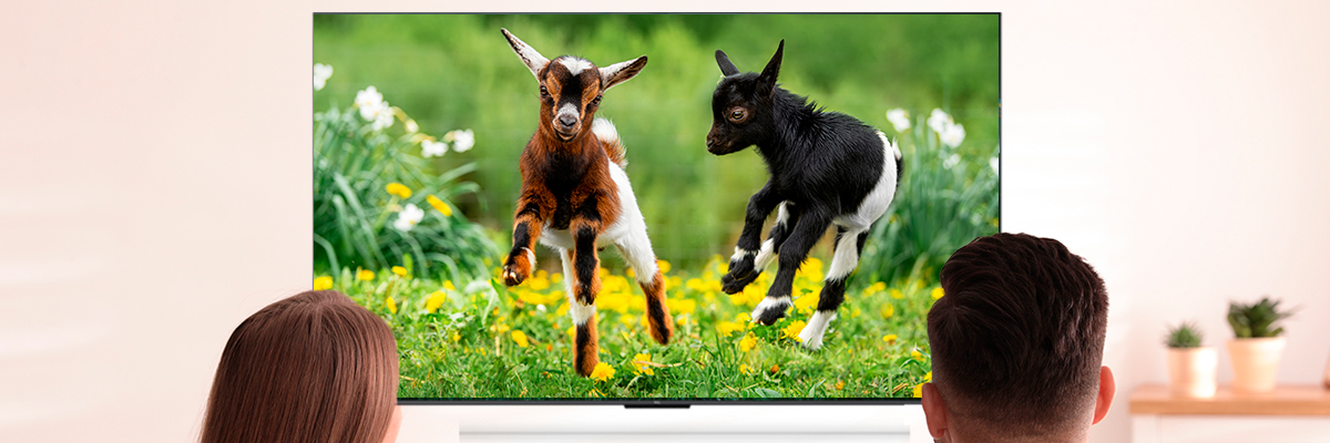 ¿Cómo ver YouTube en el televisor? Guía para principiantes