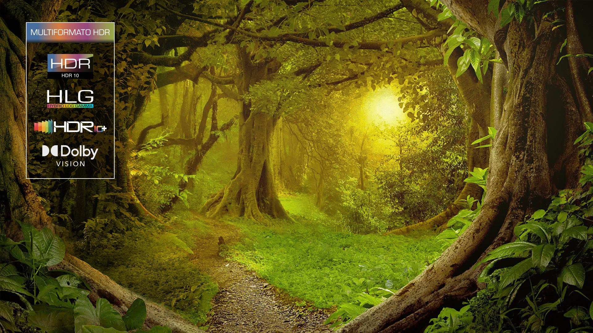 Impresionante HDR desde cualquier ángulo