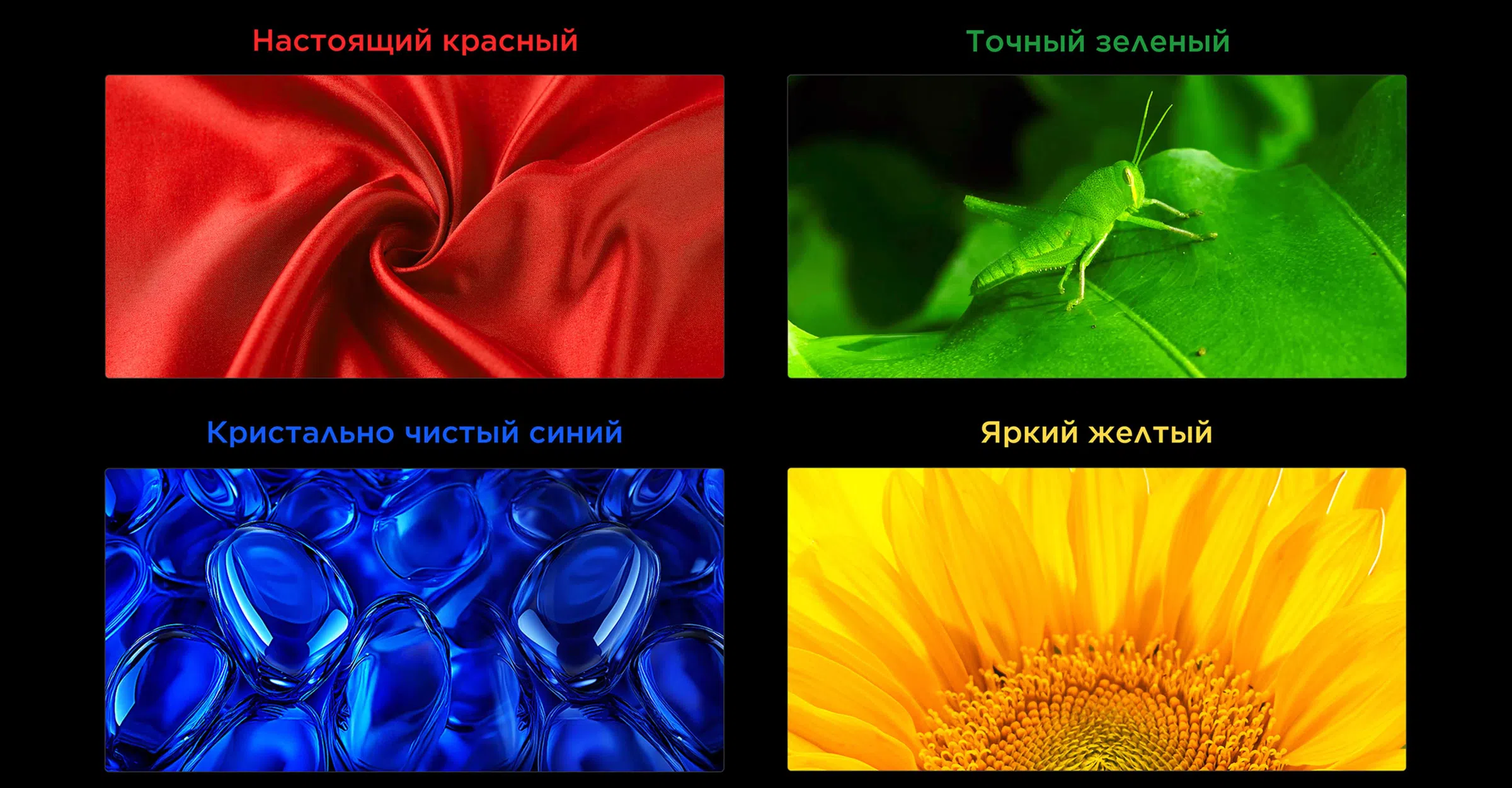 TCL SQD-Mini LED TV All Scenes Wide Color Gamut