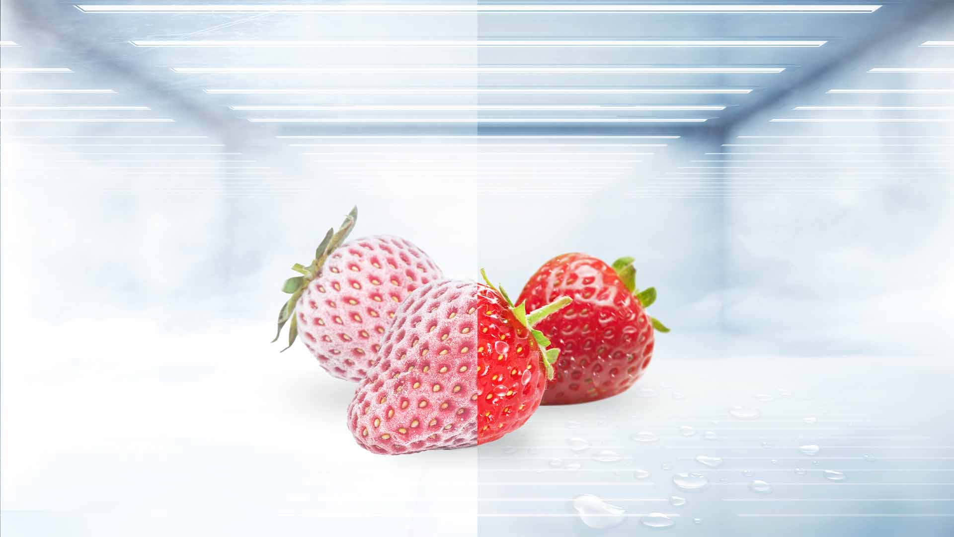 Total No Frost: never defrost again