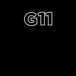  G11