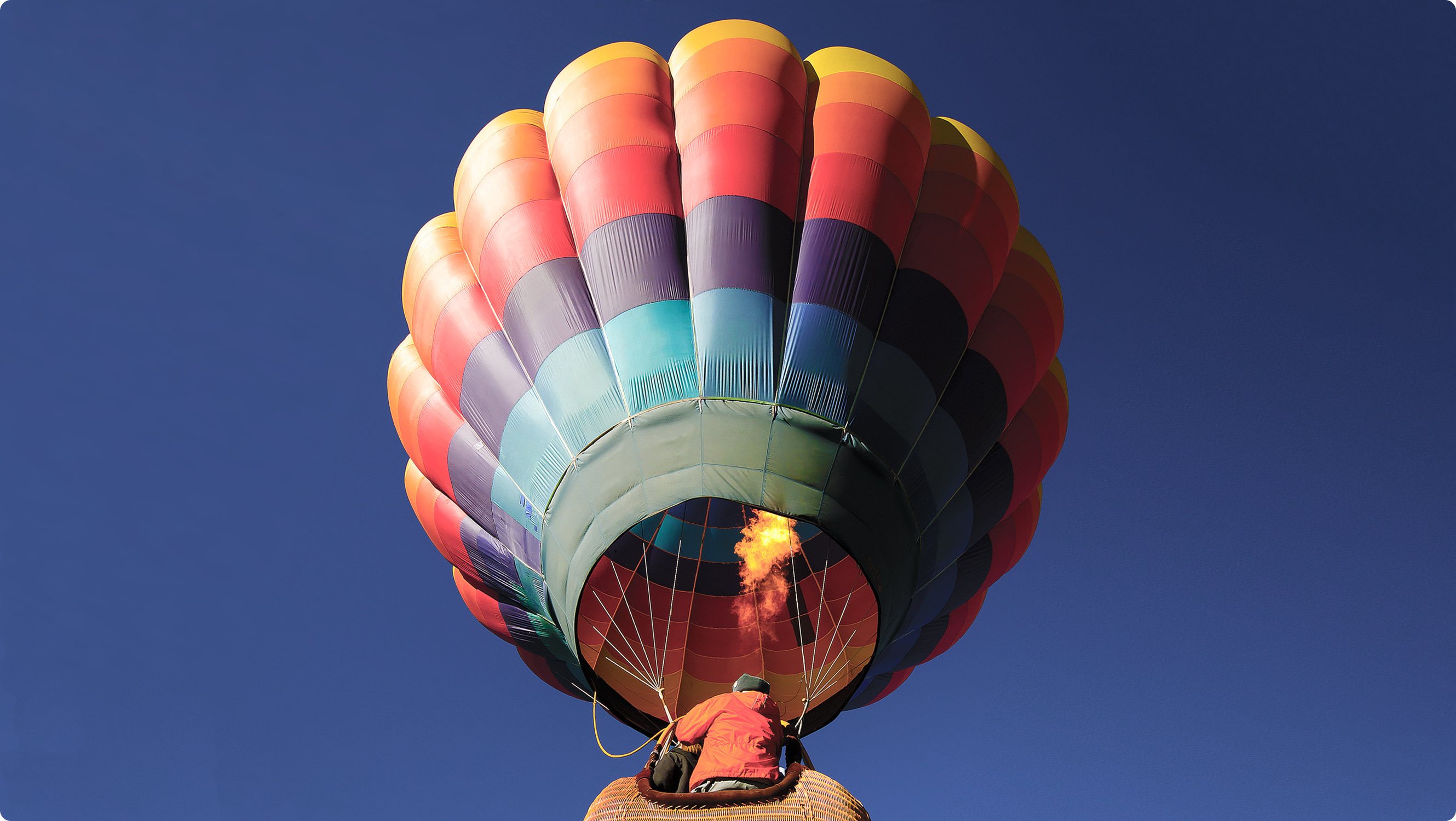 iFFALCON U75 Ai Color